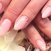 South Breeze(サウスブリーズ)